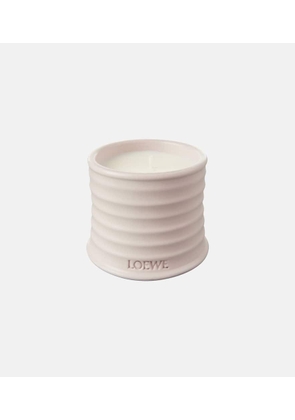 Loewe Home Scents Oregano Small scented candle