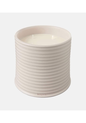 Loewe Home Scents Oregano Large scented candle