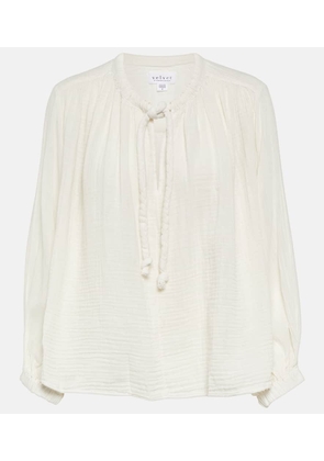Velvet Tie-neck cotton blouse top