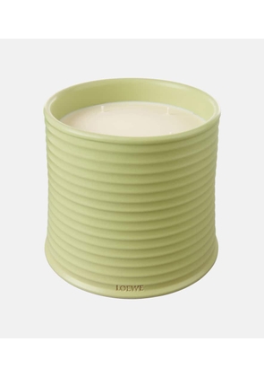 Loewe Home Scents Cucumber Large candle