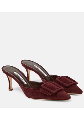 Manolo Blahnik Maysale 70 suede mules
