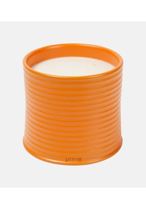 Loewe Home Scents Orange Blossom Large scented candle