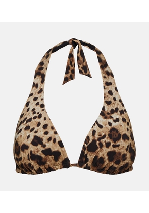 Dolce&Gabbana Leopard-print bikini top