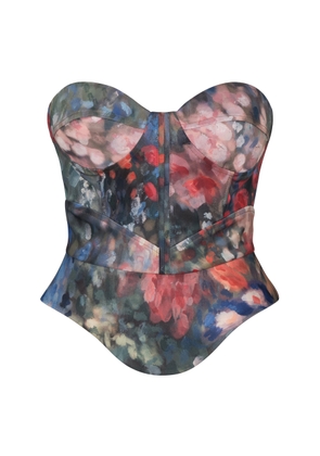 MARIA ELENA VILLAMIL Contorno Printed Bustier Top - Moda Operandi