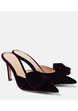 Gianvito Rossi 85 bow-detail velvet mules