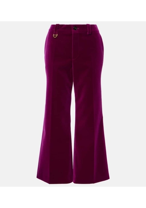 Chloe Cotton velvet cropped bootcut pants