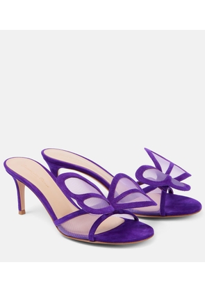 Gianvito Rossi Butterfly 70 mesh and suede mules
