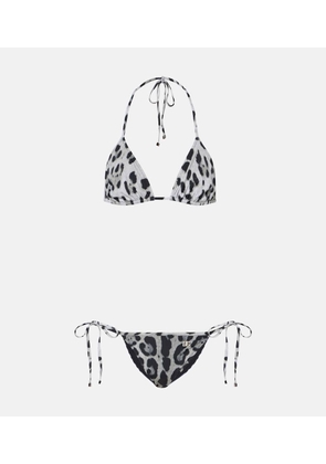 Dolce&Gabbana Leopard-print bikini