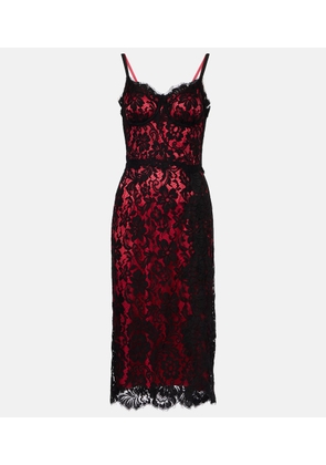 Dolce&Gabbana Floral cotton-blend lace slip dress