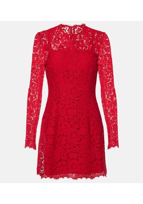 Dolce&Gabbana Cotton-blend lace minidress