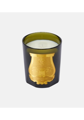 Trudon Solis Rex Classic candle