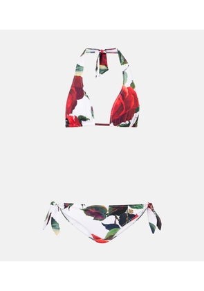 Dolce&Gabbana Floral bikini