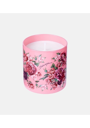 Dolce&Gabbana Casa Rosa Moschata scented candle