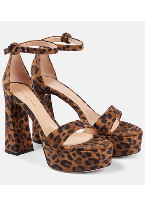 Gianvito Rossi Leopard-print sandals