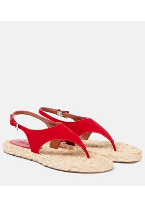 Paris Texas Amalfi suede thong sandals