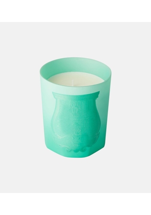 Trudon Under The Trees scented candle by Alexandra Carlin