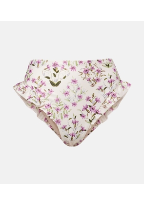 Agua by Agua Bendita Jengibre floral ruffled bikini bottoms