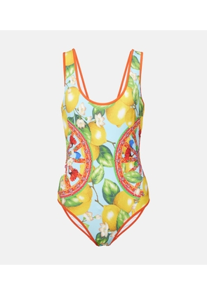 Dolce&Gabbana Printed swimsuit