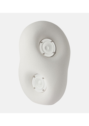 Transparent Acoustic Sculpture speaker