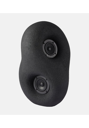 Transparent Acoustic Sculpture speaker