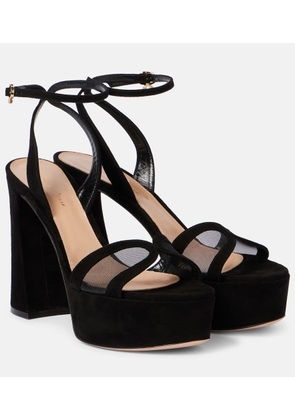 Gianvito Rossi 120 suede and mesh platform sandals