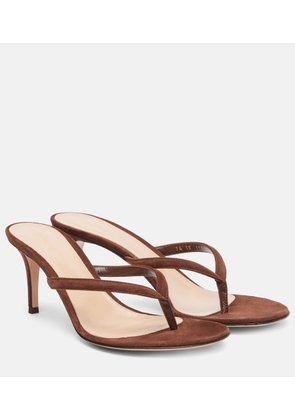 Gianvito Rossi Suede thong sandals