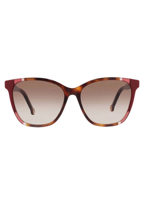 Carolina Herrera Brown Square Ladies Sunglasses CH 0061/S 0O63/HA 57