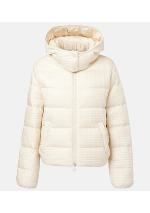 Moncler Gisors down jacket