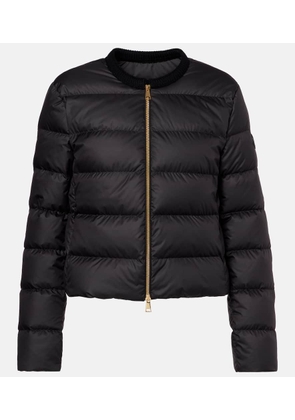 Moncler Cropped down jacket