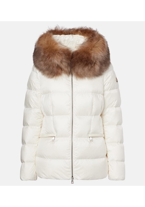 Moncler Boed shearling-trimmed down jacket