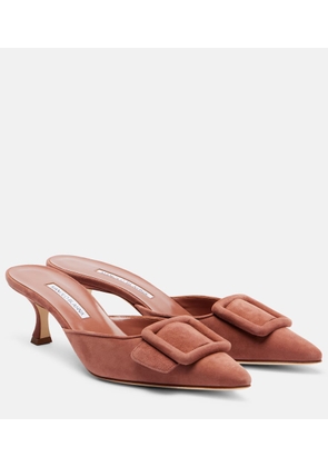 Manolo Blahnik Maysale 50 suede mules