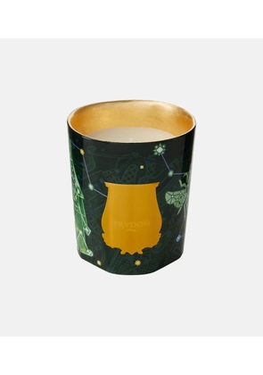 Trudon Fir Classic scented candle