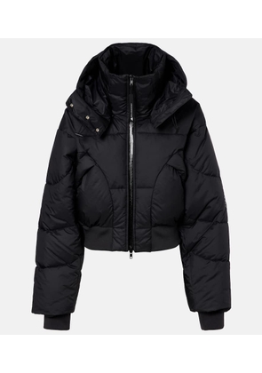 Adidas by Stella McCartney Cropped puffer jacket