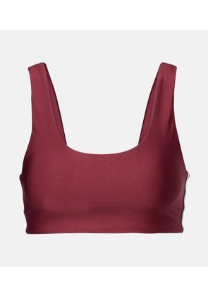 The Upside Oxford Harley sports bra