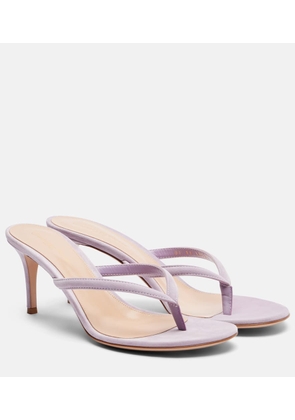 Gianvito Rossi Calypso suede thong sandals