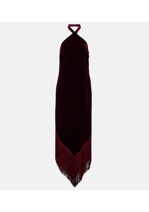 Taller Marmo Nina fringed velvet maxi dress