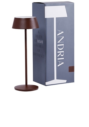 The Favorites Andria Rechargeable Table Light in Rust - Brown. Size all.