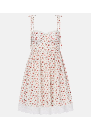 Dolce&Gabbana Floral lace-trimmed cotton-blend poplin minidress
