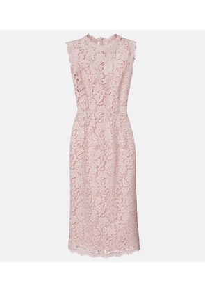 Dolce&Gabbana Cotton-blend lace cocktail dress