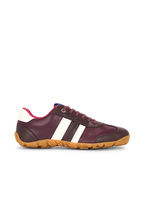 Wales Bonner Lace Up Sneaker in Burgundy - Burgundy. Size 41 (also in ).