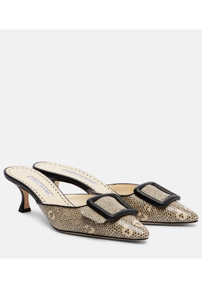 Manolo Blahnik Maysale 50 snake-effect leather mules