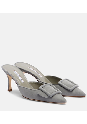 Manolo Blahnik Maysale 70 suede mules