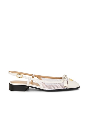 Valentino Garavani Valet Du Roi Mesh Ballerina in Ivory - Ivory. Size 36 (also in 37, 37.5, 38, 38.5, 39, 39.5, 40, 41).