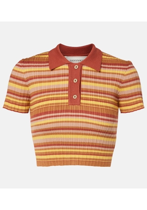 Bananhot Mike ribbed-knit striped cropped polo shirt