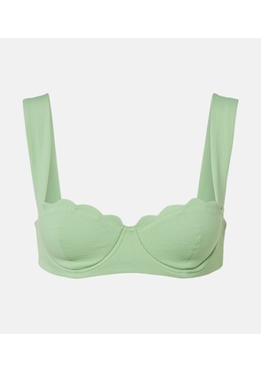 Marysia North scalloped bikini top