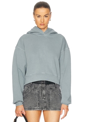 AGOLDE Mari Hoodie in Mineral - Slate. Size XS (also in ).