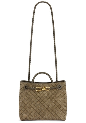 Bottega Veneta Small Andiamo Bag in Cypress & Muse Brass - Sage. Size all.