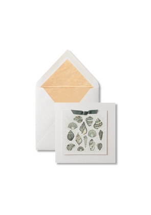 Sea Shells Greeting Card