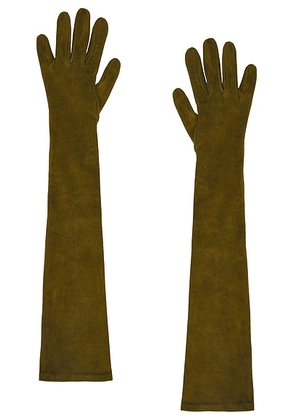 Clyde Moonlight Gloves in Moss Suede - Green. Size 6.5 (also in ).