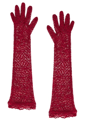 Beaufille Stretch Lace Elbow Gloves in Burgundy - Burgundy. Size all.